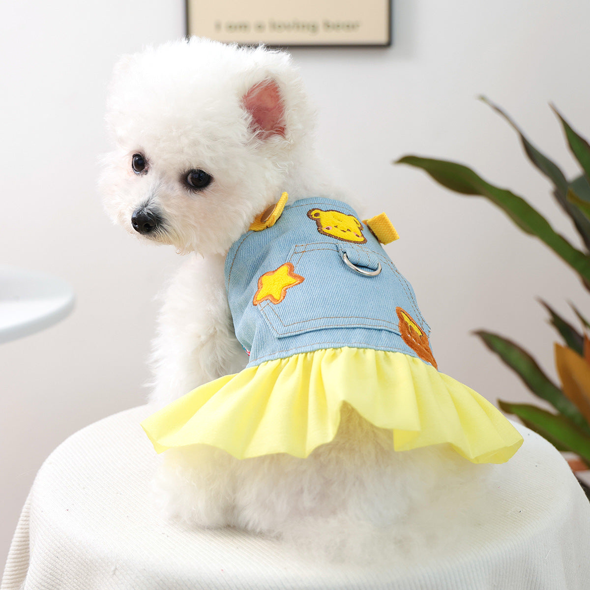 Pet Denim Skirt | Cute Summer Dress for Small Dogs & Cats – product image 45 | Pawnests