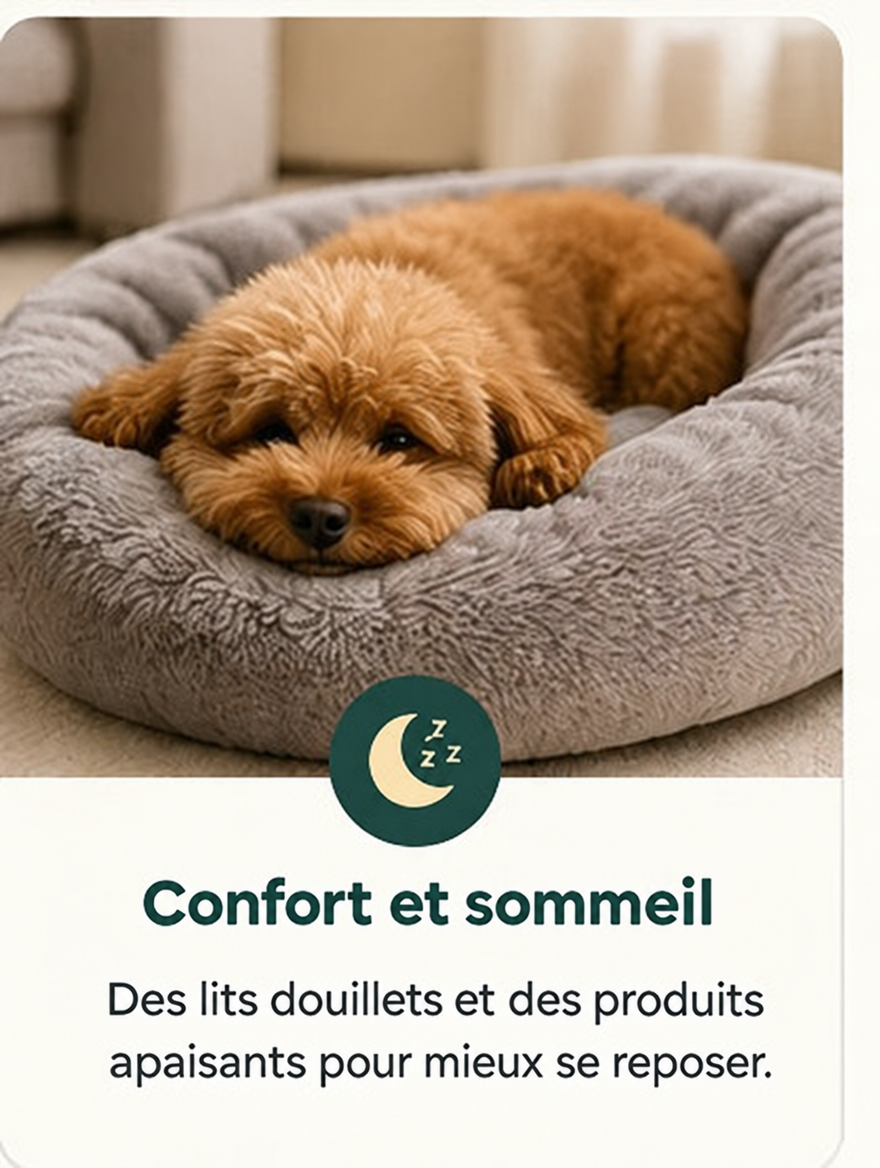 Confort et sommeil