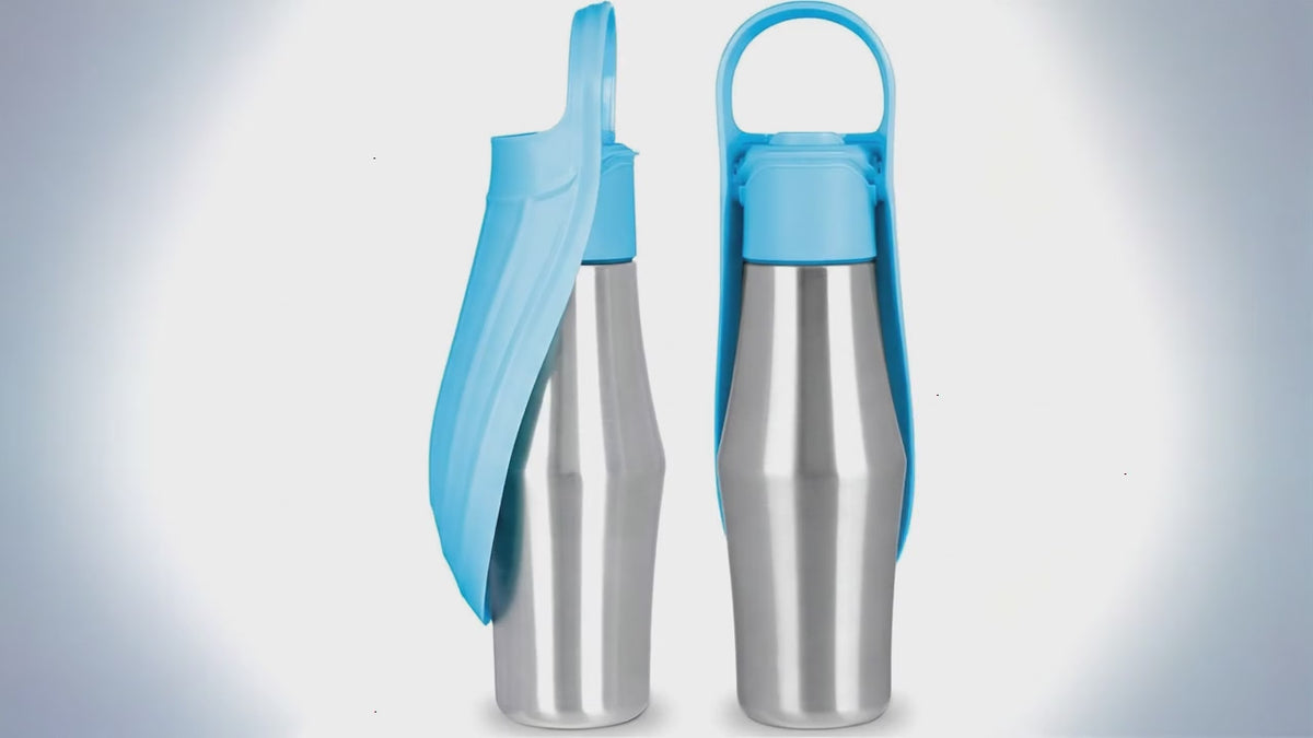 Gourde pour chien | Bouteille de voyage isotherme en inox pour chiens et chats