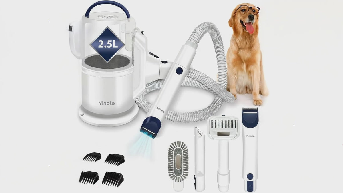 Yinole P50 Kit aspirateur de toilettage grande capacité pour animaux